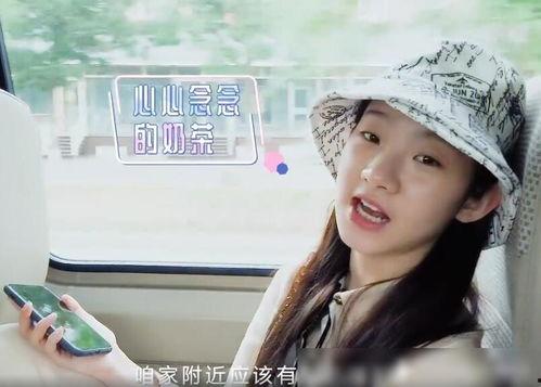 娱乐吃瓜姐王艺瑾小说,娱乐圈的瓜田秘闻录