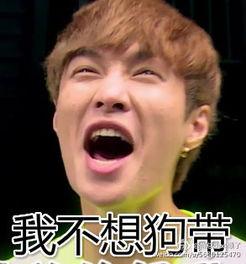 极限挑战聊天表情包