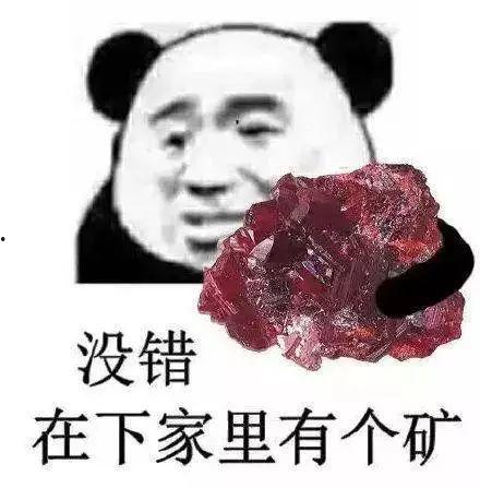比尔没有在上网表情包,揭秘比尔离线时刻的神秘表情包”